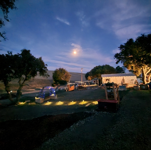 Meet your Posher, Jamie - Picture 6 of 8